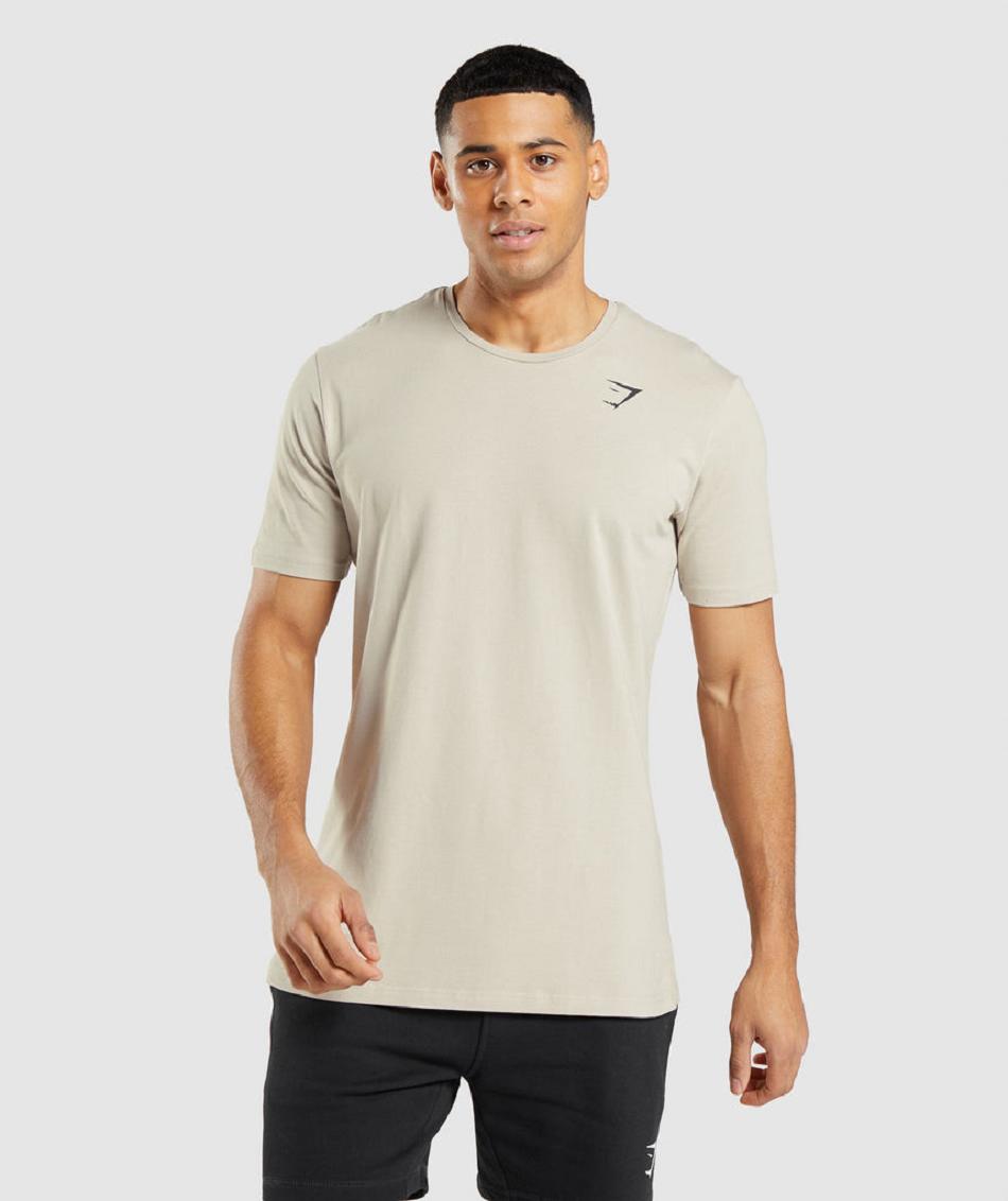 T Shirts Męskie Gymshark Essential Szare | PL 3800KOR